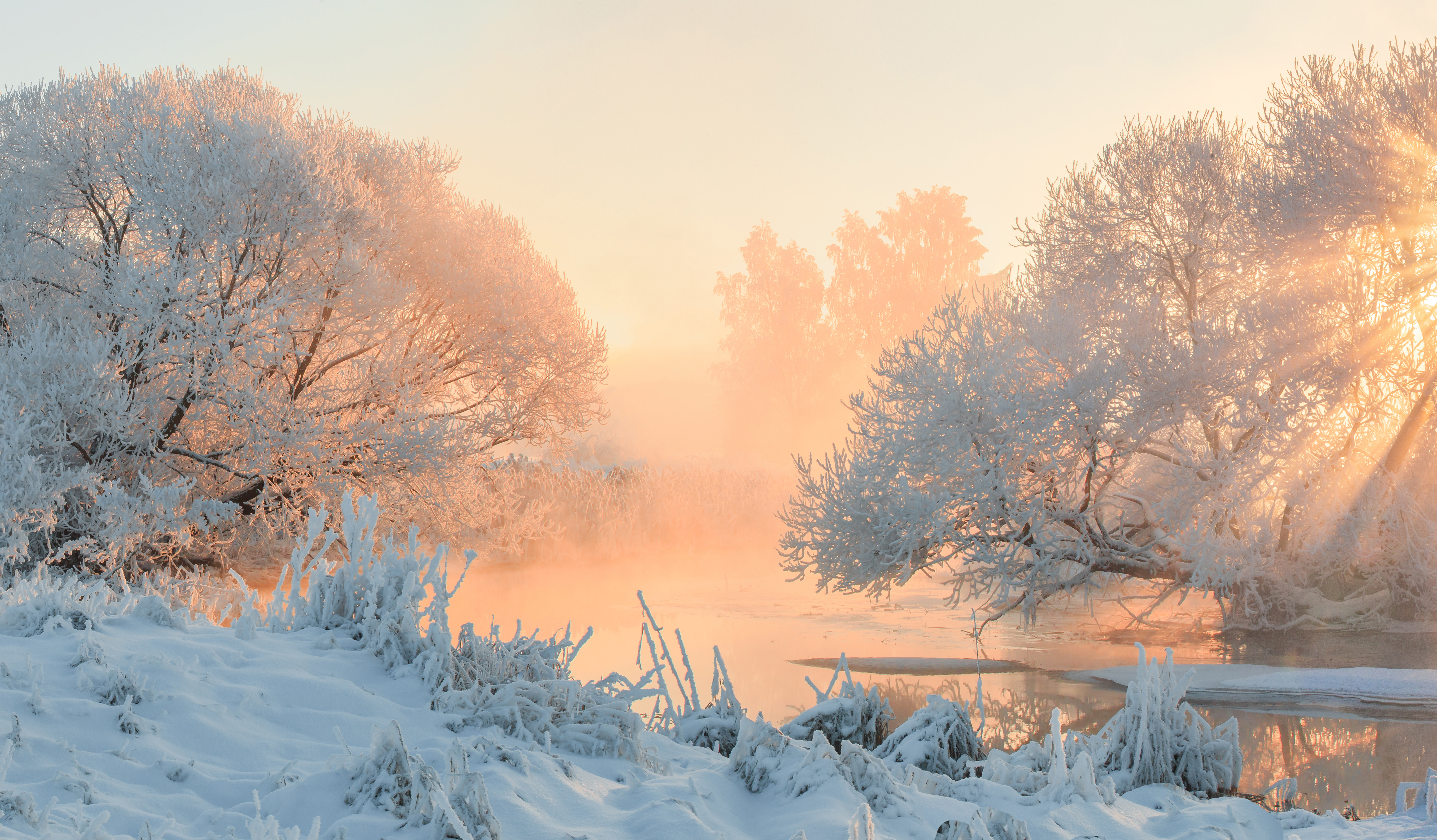 Christmas winter landscape